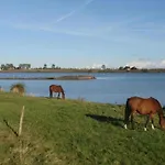 Boutique In With Terrace * Insel Poel