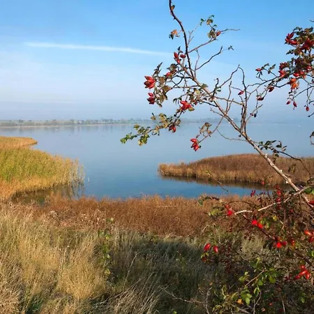 Boutique In With Terrace Сasa de vacaciones