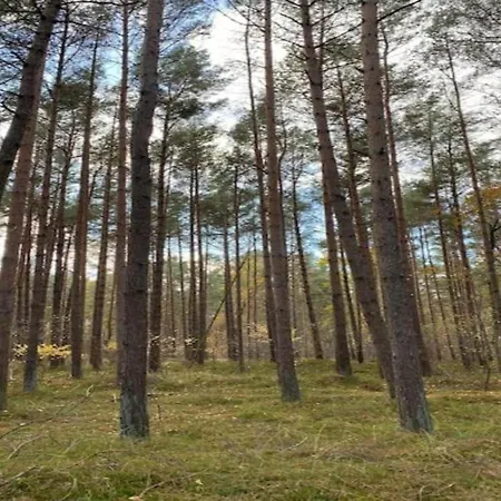 Сasa de vacaciones Boutique In With Terrace Poel