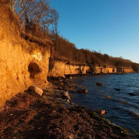 Boutique In With Terrace * Poel