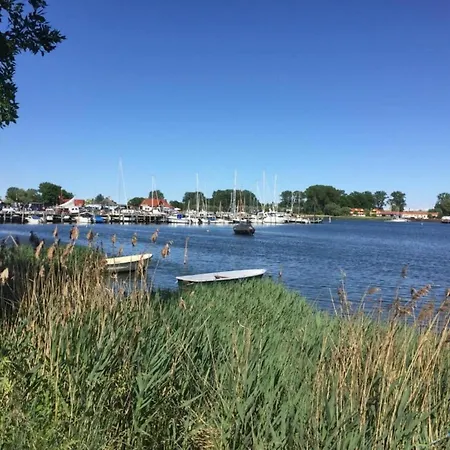 Boutique In With Terrace Poel