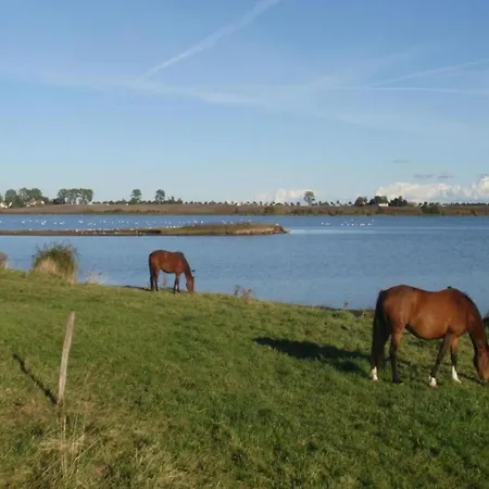 Boutique In With Terrace Сasa de vacaciones *