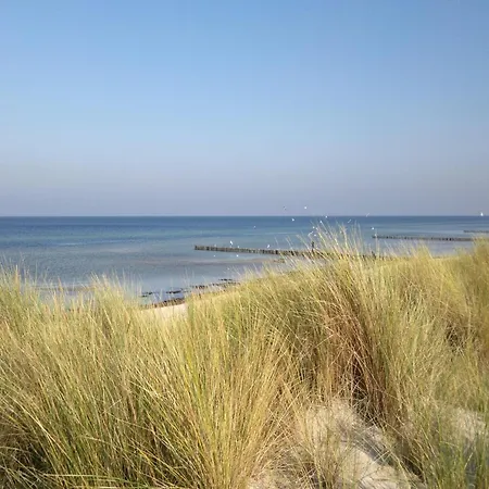 Boutique In With Terrace Poel