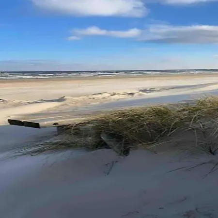 Boutique In With Terrace