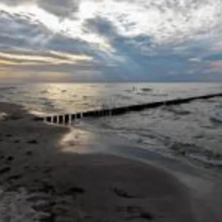 Boutique In With Terrace *