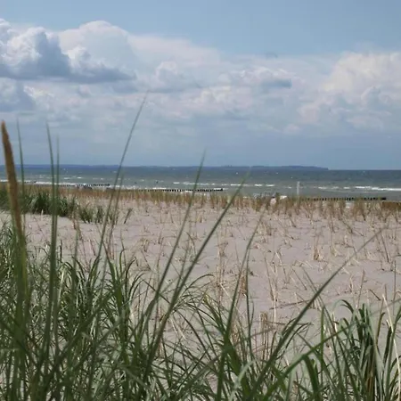 Сasa de vacaciones Boutique In With Terrace *