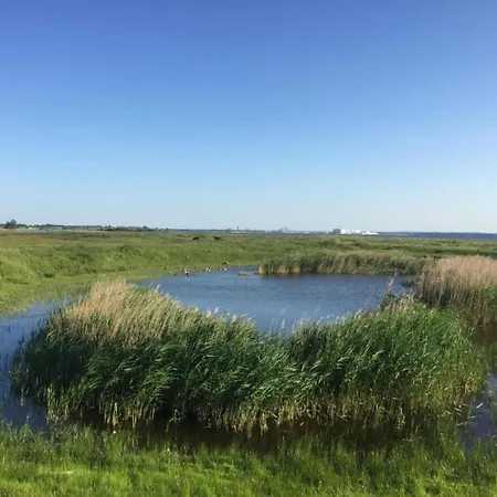 Boutique In With Terrace Poel