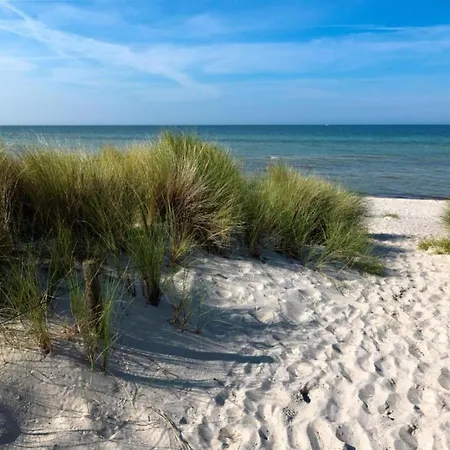 Boutique In With Terrace Holiday home Insel Poel